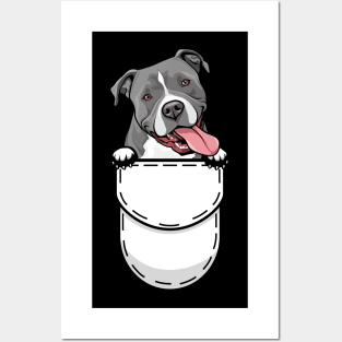 Pit Bull Pocket Dog Posters and Art